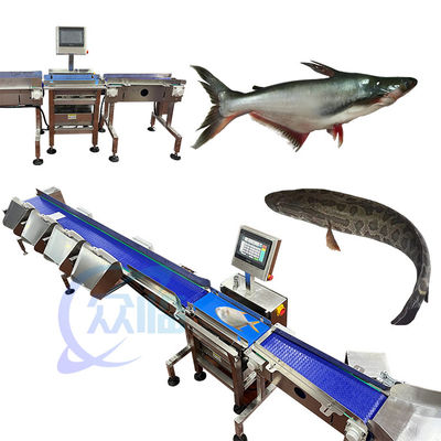 Anti Corrosion Fish Weight Grader Automatic Fish Weight Sorter