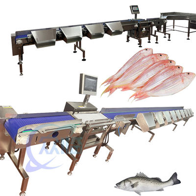 Pelagic Fish Grading Machine Pelagic Fish Weight Grader 120-150pcs/min
