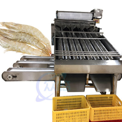 Seafood and shrimp processing equipment 304 stainless steel fish and shrimp specification selection machine
