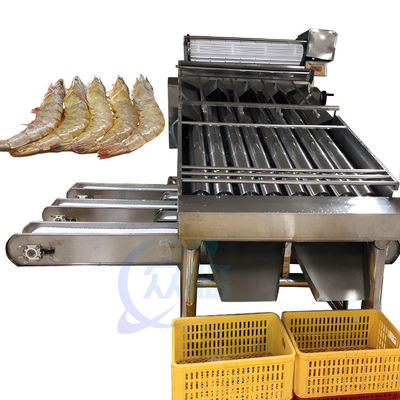 Seafood process equipment shrimp washing grading machine Shrimp production line shrimp washing grading machine
