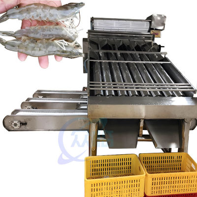 Seafood process equipment shrimp washing grading machine Automatic shrimp sorting machine for shrimp peeling