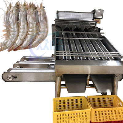 Shrimp cleaning and grading machine Automatic shrimp sorting machine Customized shrimp grading machine according to need
