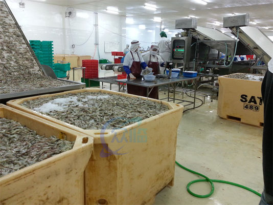 Automatic shrimp sorting machine for shrimp peeling fresh prawn washing rolling sorting machine shrimp grader