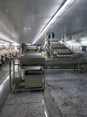 Shrimp processing factory automatic fresh shrimp peeling machine without damage shrimp shell peeling and peeling machine