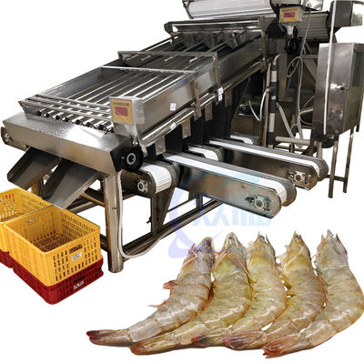 Seafood fish and shrimp processing plant size sorting machine Fish size sorting machine