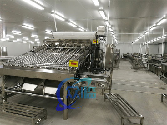 Shrimp processing fully automatic shrimp shelling line Shrimp impurity removal and sorting machine