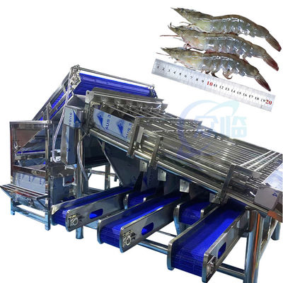 Shellfish sorting machine shrimp cleaning and sorting machine, automatic shrimp shell grinding, shelling and dethreading