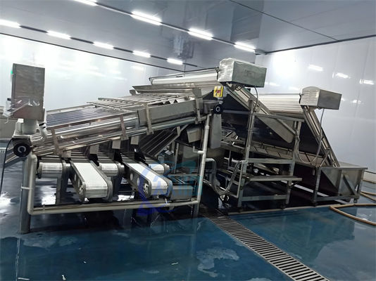 304 stainless steel 18 roller fish sorting machine Fish size screening machine