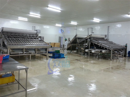 automatic fish grading machine sorting machine fish size grading machine