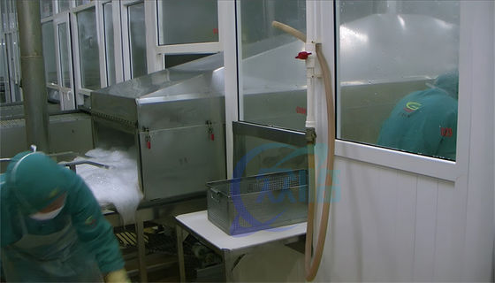 Aquatic lobster cooking and cleaning line Industrial shrimp and lobster cleaning machine Shrimp steam blanching machine