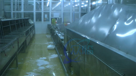 Aquatic lobster cooking and cleaning line Industrial shrimp and lobster cleaning machine Shrimp steam blanching machine