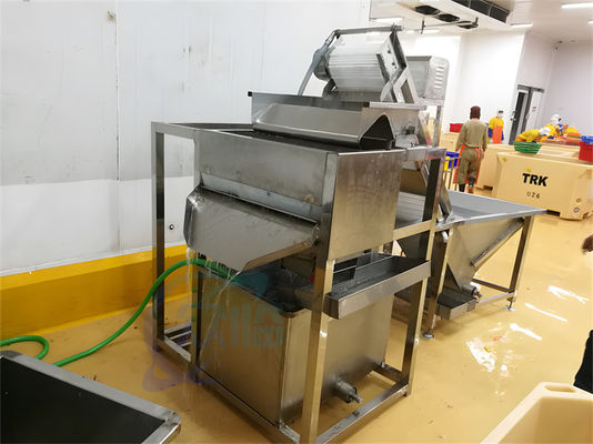 Shrimp cleaning machine Shrimp hair removal machine Automatic shrimp garbage separation machine