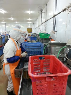 Efficient Cooked Shrimp Production Line Shrimp Belly Cutting Machine