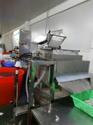 Shrimp processing machine, shrimp hair processing and cleaning machine, shrimp waste sorter