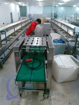 750W Practical Fish Skinning Machine Multiscene For Squid Peeling