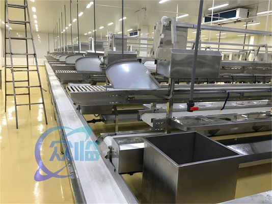 1506kg Seafood Production Line Stainless Steel Custom Workbench Fish And Shrimp Processing Line Conveyor Belt