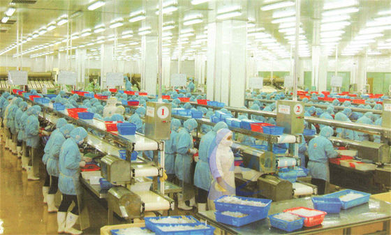 Customization Stainless Steel Frame Food Processing Assembly Line Belt Conveyor Fish Processing Conveyor