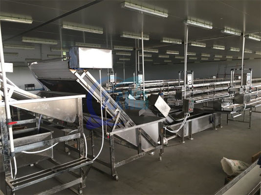 Industrial Potato Carrot Vegetable Wash Line Dates Pineapple Fruit Washer Bubble Washing Machine