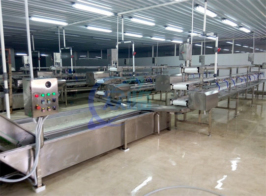 Washing machine for fruit and vegetable processing production line Lettuce and cabbage air spray washing machine