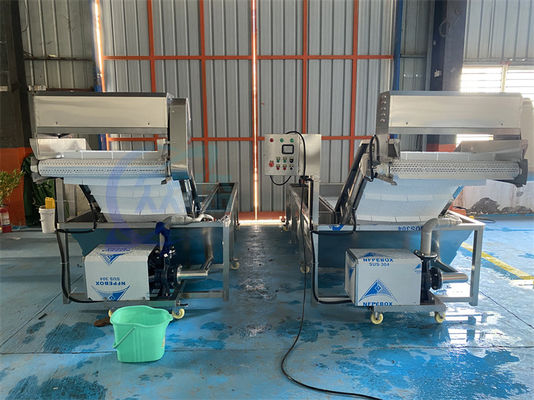 Fully Automatic Crayfish Fruit And Vegetable Cleaning Machine Seafood High Pressure Bubble Cleaning Machine