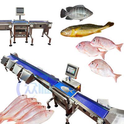 Computer Control Fish Grading Machine Fish Sizing Machine For Tilapia Basa Catfish Sorting