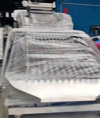 Customized PLC Control Fish Grading Equipment For Sorting Small Fish With Automatic