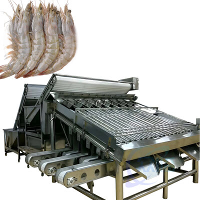 Good price Zolim 4.9KW Automatic Shrimp Grading & Sorting Machine 380V 1000-2000kg/h Capacity Anti-Erosion Roller Grader online