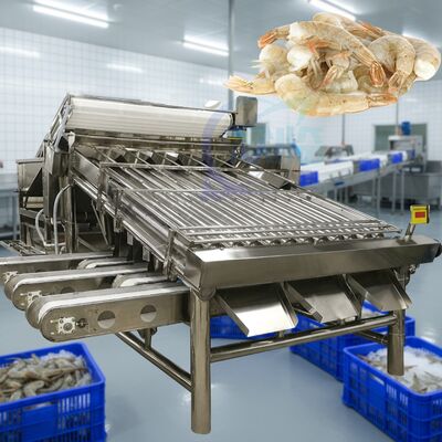 Good price Industrial Prawn Sorting Machine for Shrimp Processing Waterproof Prawn Grading Machine Automatic Prawn Sizing Machine online