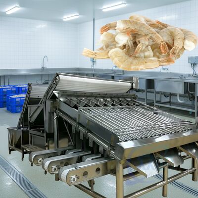 Good price Durable Roller Shrimp Grading Machine 1500kg-2000kg/H Roller Shrimp Sorter High Stable Roller Shrimp Sizing Machine for Seafood online