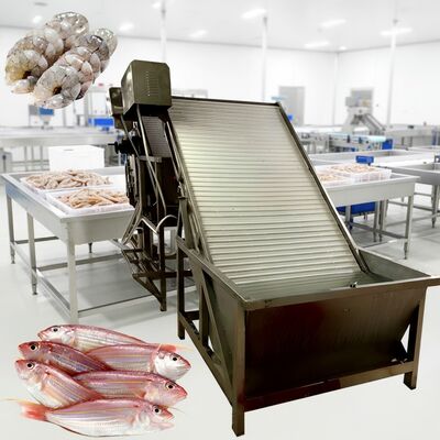 Good price Farmed Shrimp Harvest Rapid Sorting and Size Specification Machine Shrimp Sorting Machine online
