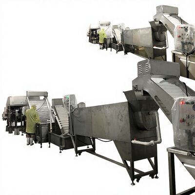 Good price Zolim Automatic Shrimp Dehead Line Removal Machine & Head Removing System 10.8KW 380V for Shrimp Processing Production Line online