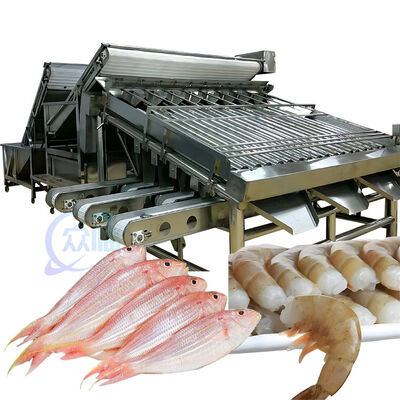 Good price Automatic Fish Grading Machine Sorting Machine Fish Size Grading Machine online