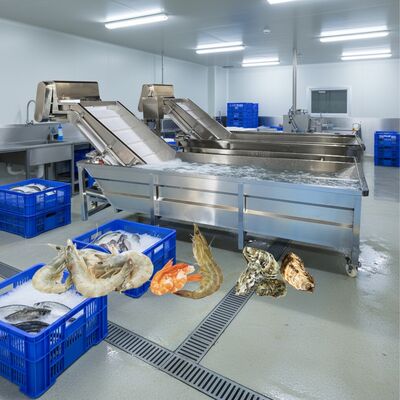 Good price Zolim Bubble Washing Machine for Seafood 2.2kw Fish Cleaning Machine Smart Shrimp Washing Machine for Seafood Processing Factory online