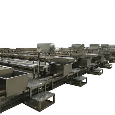 Good price Shrimp Processing Line Shrimp De-heading and Shelling Processing Line Fish Processing Factory Production Line online
