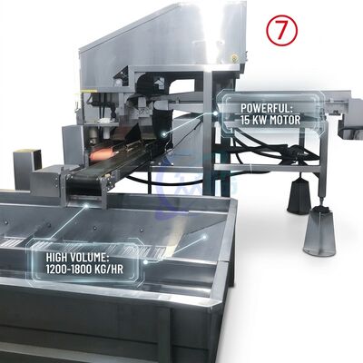 Good price Durable Shrimp Processing Machine Hygienic SUS304 800-1000KG 9.0KW 220V For Food Processing Factory online