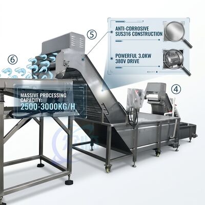 Good price Heavy Duty Shrimp Deheading Production Line Precision SUS316 1000-1500KG 11.7KW 415V online