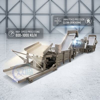 Good price SUS316 Shrimp Deheading System Food Grade SUS304 800-1000KG 3.0KW 415V For Fish Processing Plant online