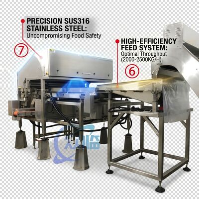 Good price Rugged Shrimp Head Separator SUS304 Stainless Steel 800-1000KG 15KW 440V For Shrimp Processing Plant online