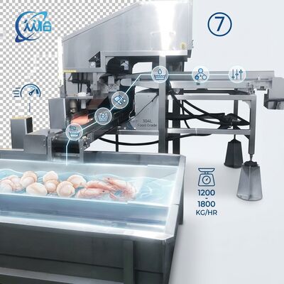 Good price High Output Shrimp Processing Machine Hygienic SUS304 500-800KG 0.8KW 220V For Seafood Export Company online