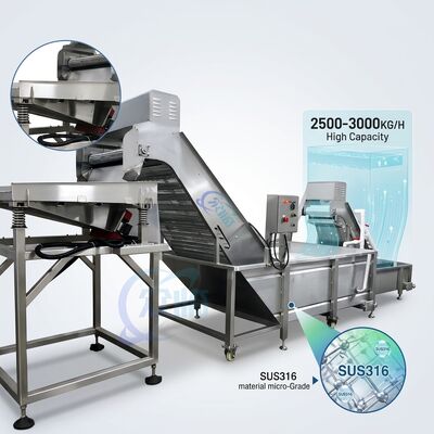 Good price Multiscene Shrimp Deheading Sorting Machine SUS304 Stainless Steel 1500-2000KG 3.0KW 380V online