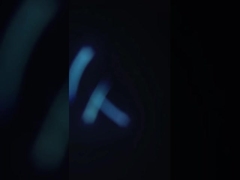 380V Seafood Squid Cleaning Machine Waterproof Anti Corrosion